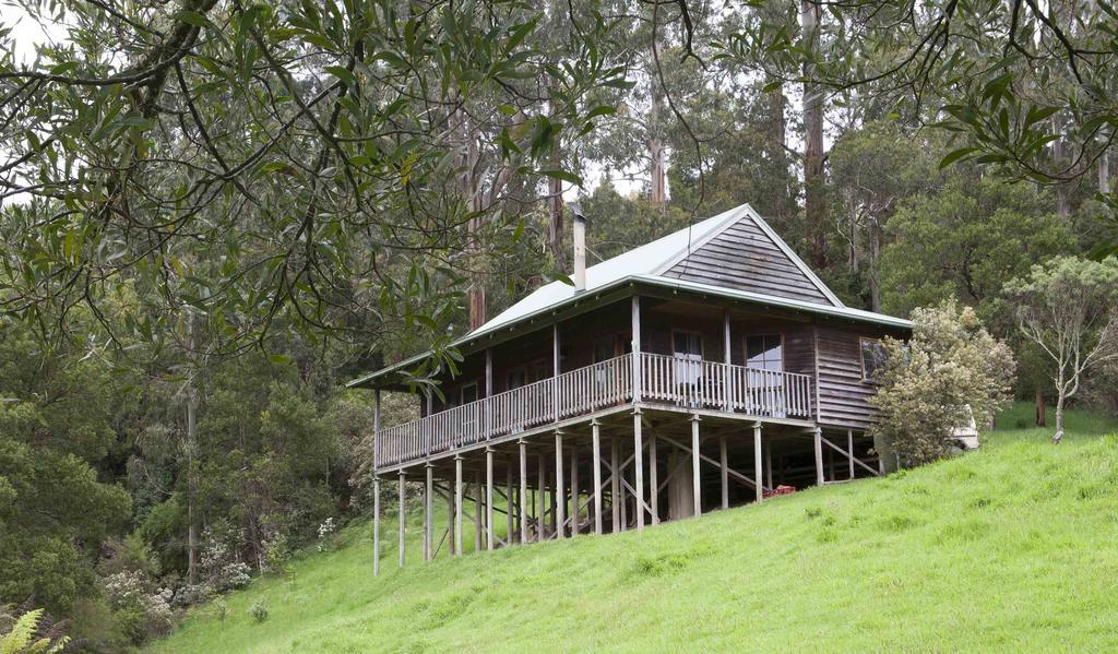 Tall Trees Eco Retreat - Blackwood Cottage Apollo Bay Exterior photo