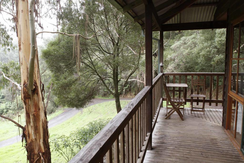 Tall Trees Eco Retreat - Blackwood Cottage Apollo Bay Exterior photo